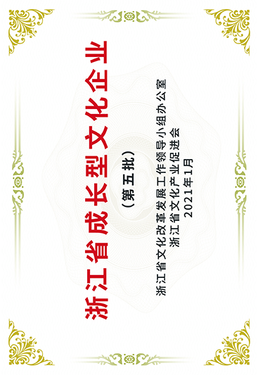 浙江省成长型文化企业